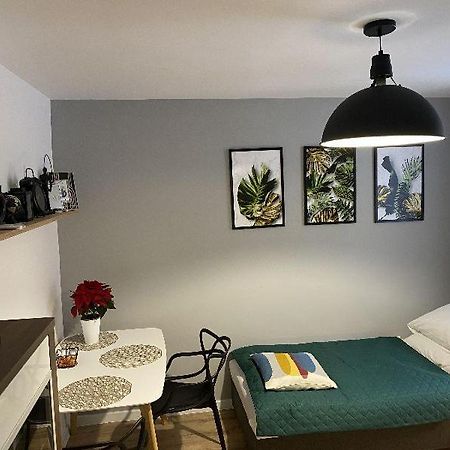 Apartamenty Blogi Sen Ii- Komfortowy Nocleg W Spokojnej Lokalizacji Zabrze Ngoại thất bức ảnh